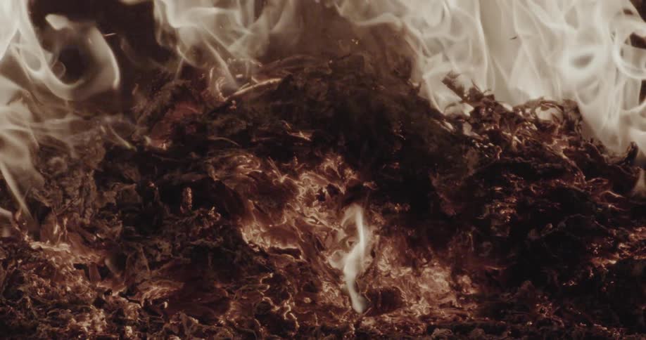 Burning plant matter with visible flames and smoke
