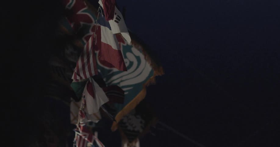 Decorative flags with varied graphics hanging under night sky