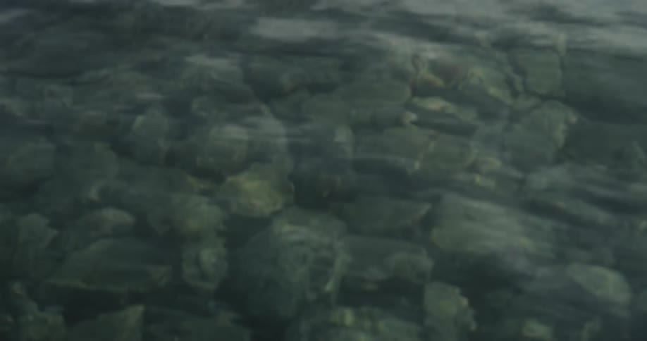 Submerged rocks visible beneath clear greenish water