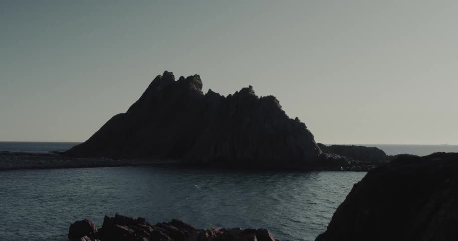 The bird flies over the rocks on the shore