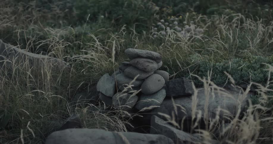 Stacked stones on rock surrounded by dry and green vegetation