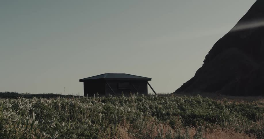 In a desolate field of tall grass a small dark shed stands alone at the foot of a looming shadowy hill