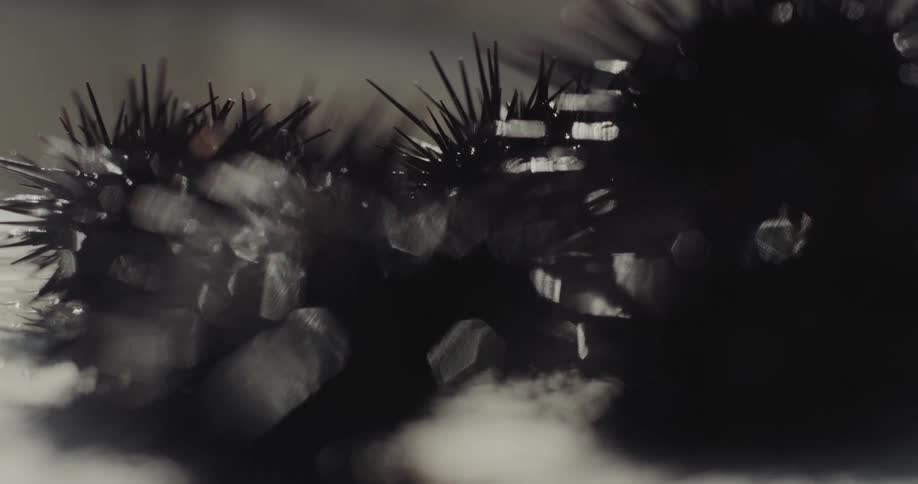 Dark spiky formations with dramatic lighting and subtle reflections