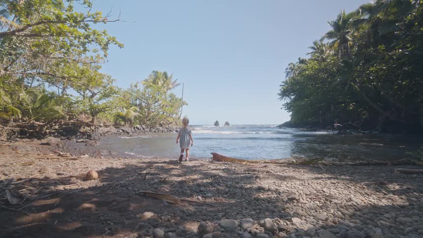 A child walking toward a rocky shoreline at midday waves breaking against the stones as trees line the edge of the coast