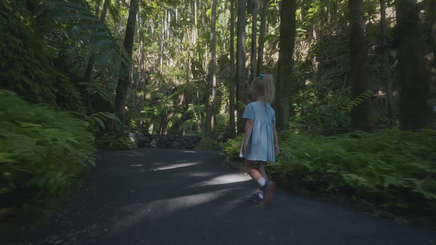 A child walking along a forest path moving forward as the tall trees cast cool shifting shadows across the sunlit ground