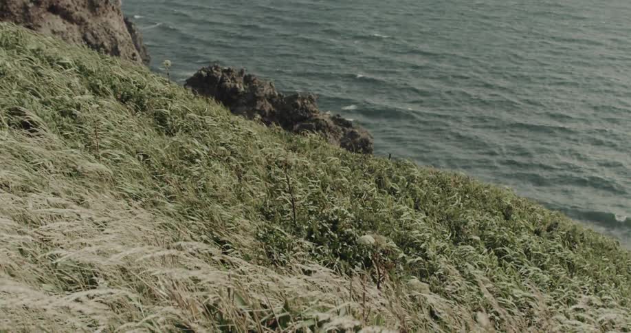 A grasscovered hill along the coastline at midday with the bright ocean stretching out in the background