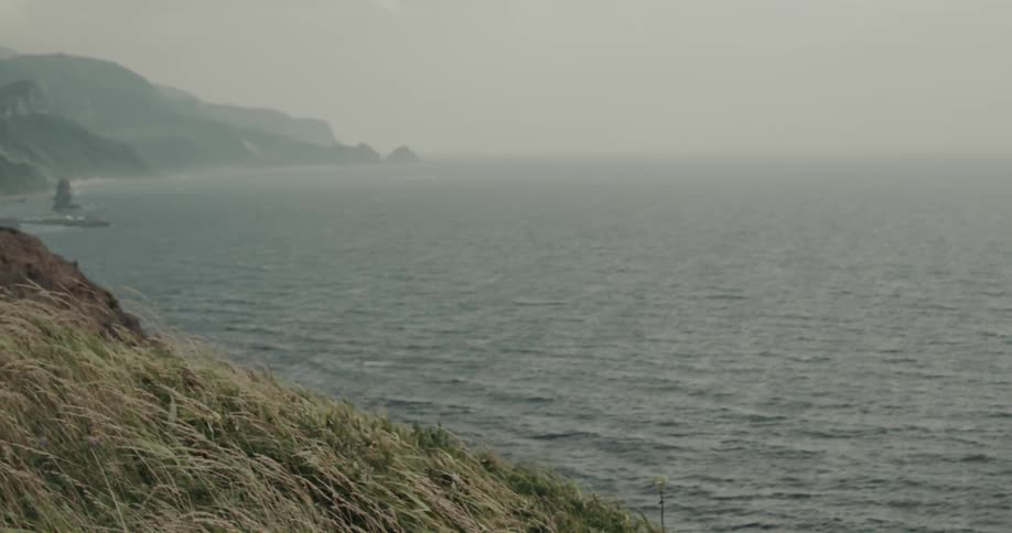 Mountains along the coast as plants move in the wind under a foggy sky