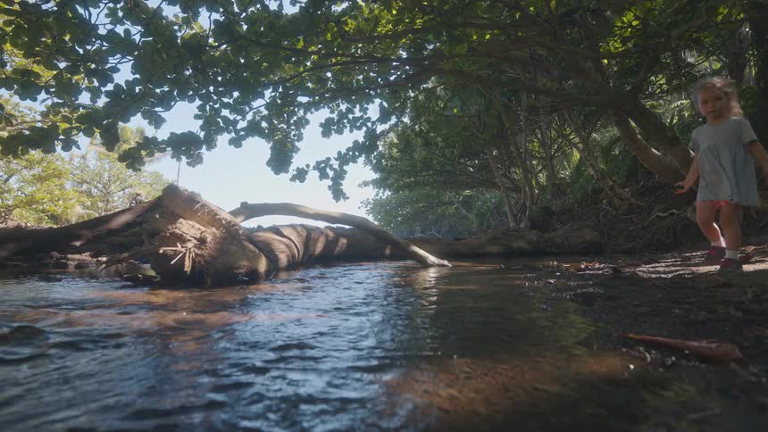 Child watches the river flow amid dense vegetation
