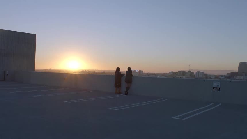 Two individuals observe urban horizon at sunset from elevated structure