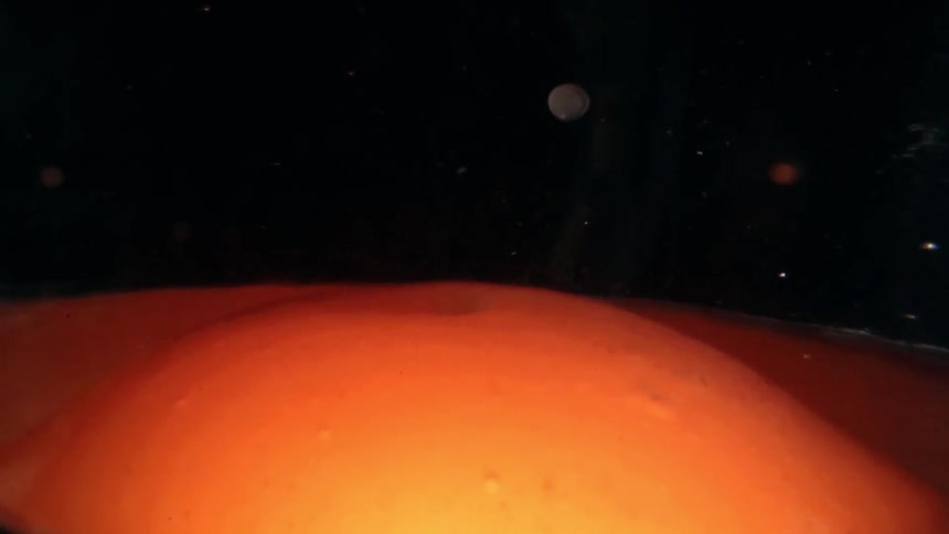 Two viscous orange red liquid droplets merge against a black background