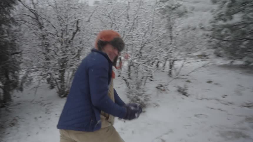 Two people playing in the snow in the forest