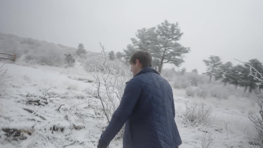 Young man walking in a field and knocking snow off a tree on a winter day