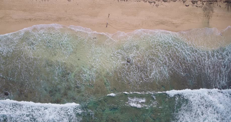 Aerial view of gentle ocean waves rolling onto a sandy beach lined with lush tropical greenery