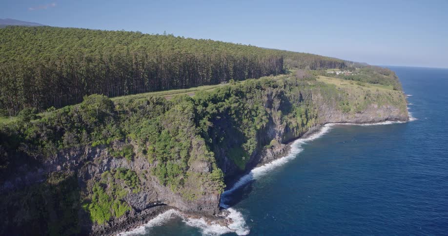 An aerial view of a rugged coastal cliff blanketed in dense green forest and grassy clearings drops steeply into deep blue ocean waters where white waves crash against the rocky shoreline under a clear bright sky