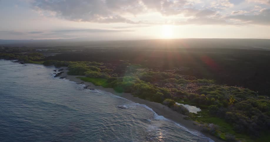 Dense vegetation and palm trees border beach at sunset with sunlight over dark terrain