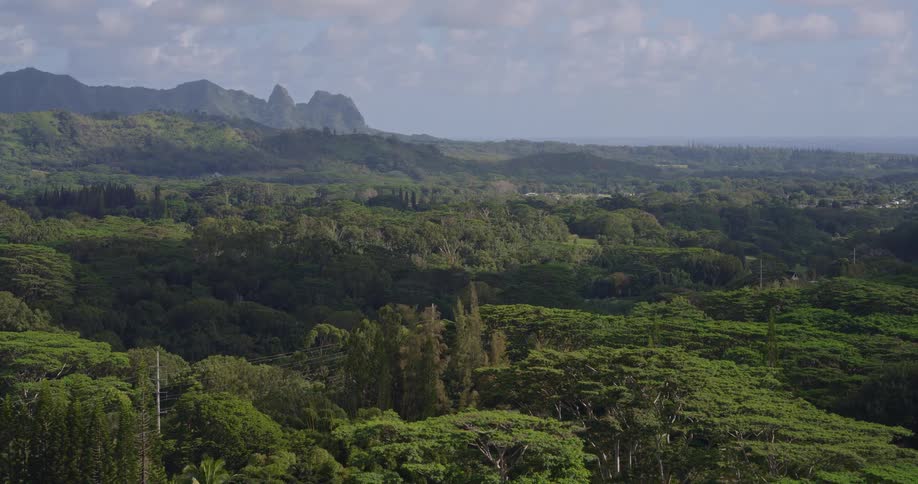 Dense tropical forest covers rolling hills with jagged mountains in the background and distant ocean