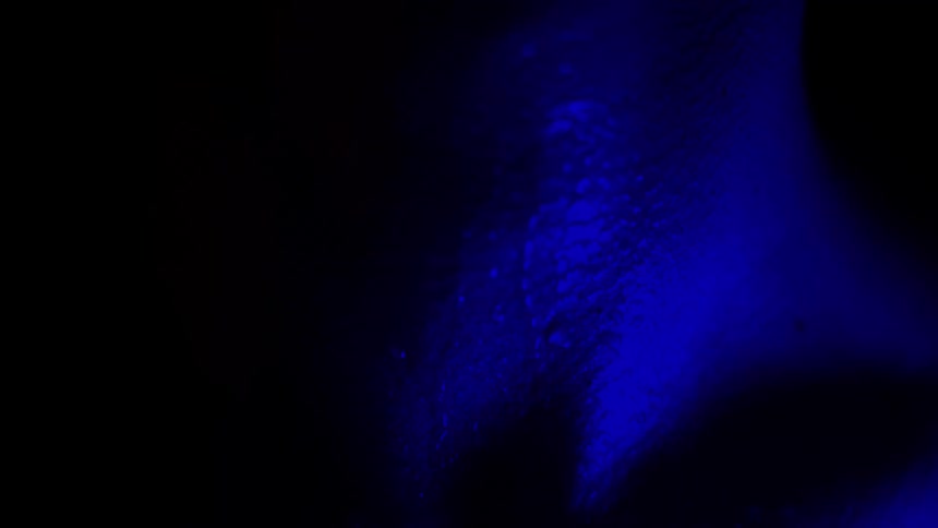 Deep blue light highlights the texture of human skin against a dark background