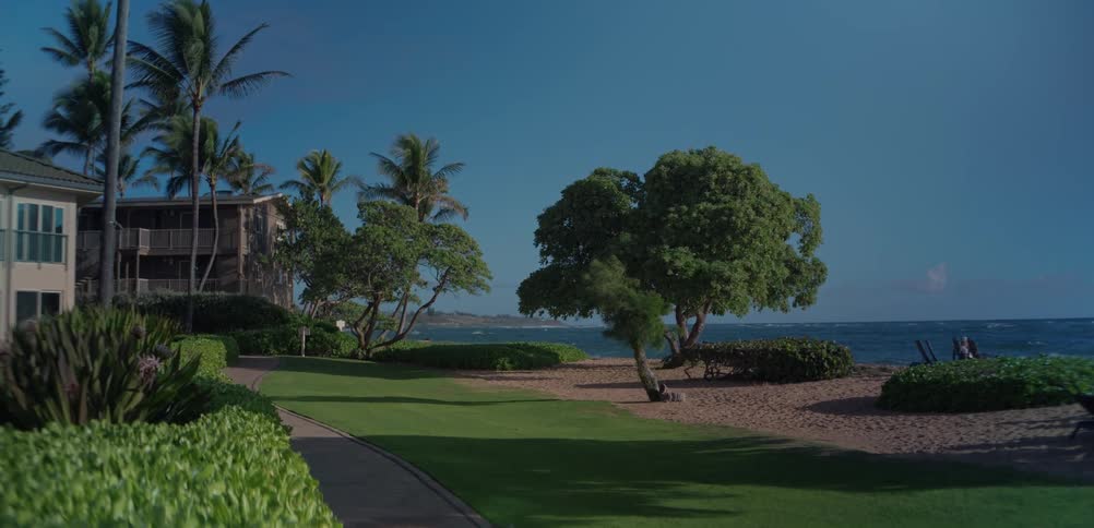 Paved walkway leads to peaceful beach surrounded by palm trees green lawn and clear sky