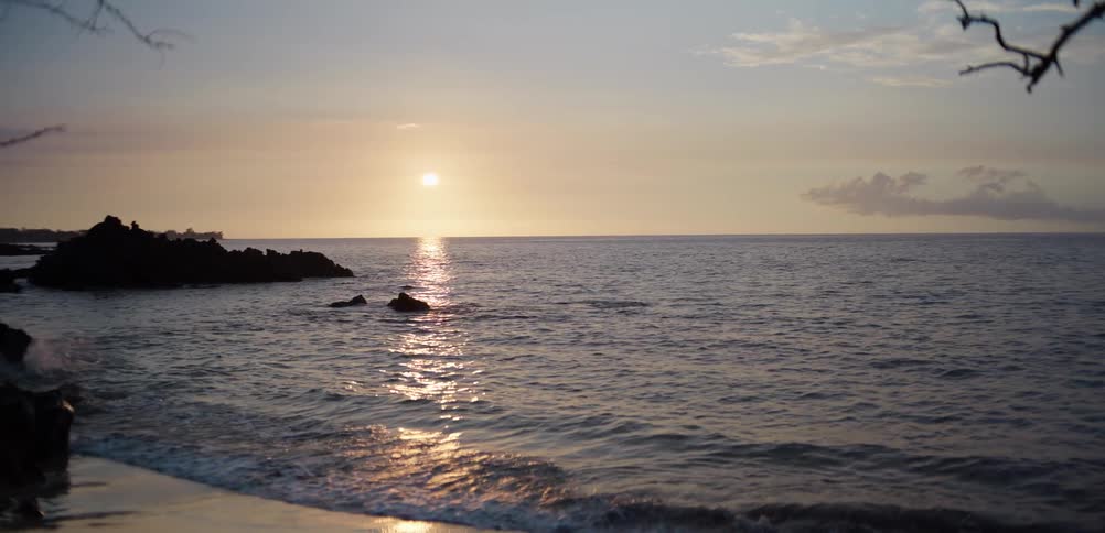 Sun sets over calm sea reflecting golden hues between dark rocks and shoreline branches