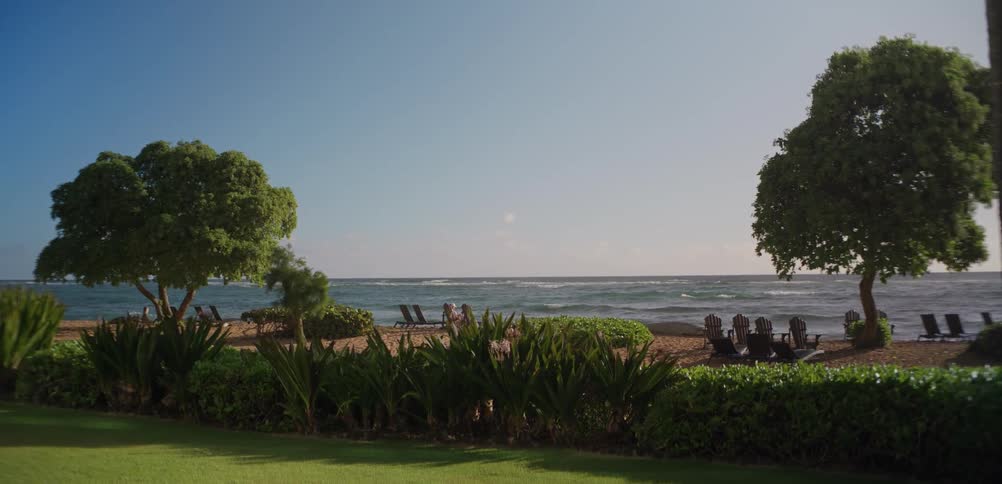A view of the beach on a sunny day
