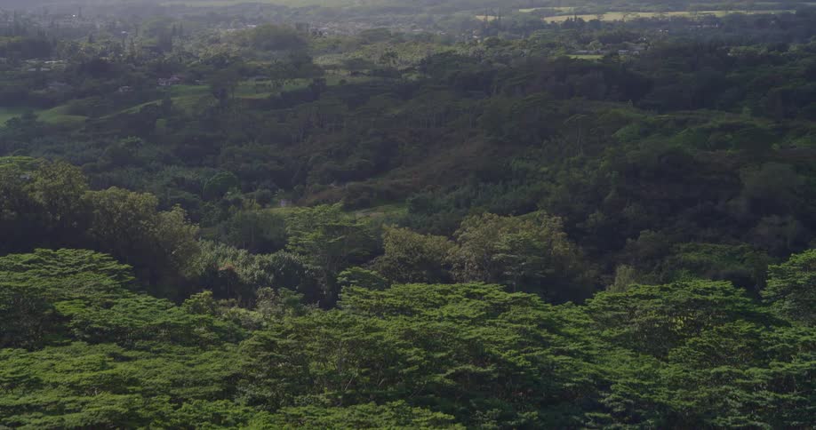Dense vegetation surrounds conical hill in valley with open fields and partly cloudy sky
