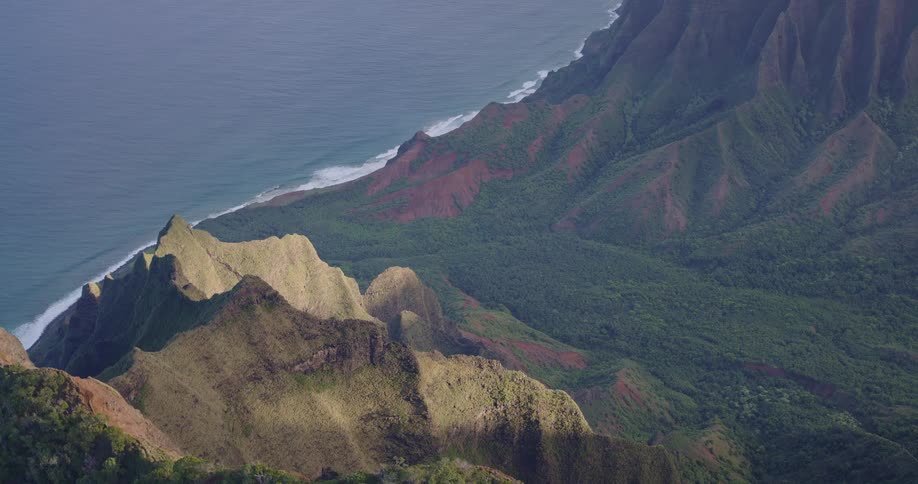 Plants and vegetation on mountains along the coast as waves roll in