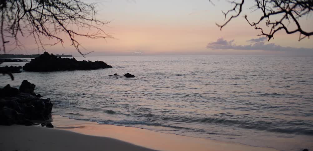 Bare branches frame rocky beach at dusk with colorful sky and gentle waves