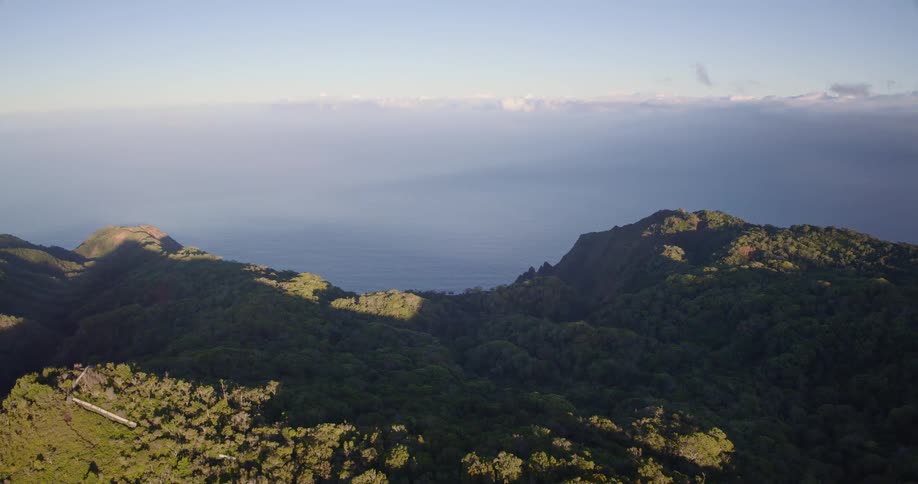 Forested vegetation covers mountains with soft shadows and wide ocean view in the background