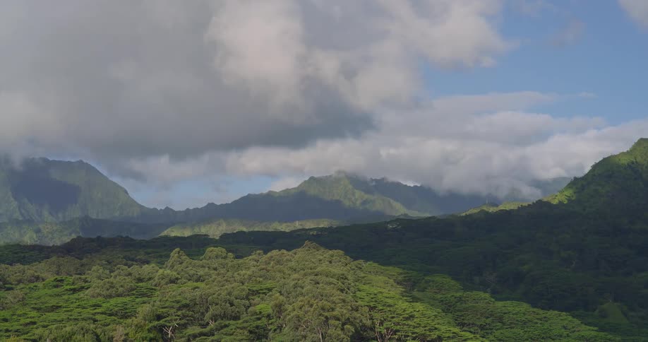 Forest stretching toward a mountain range covered in green vegetation all beneath a cloudy sky