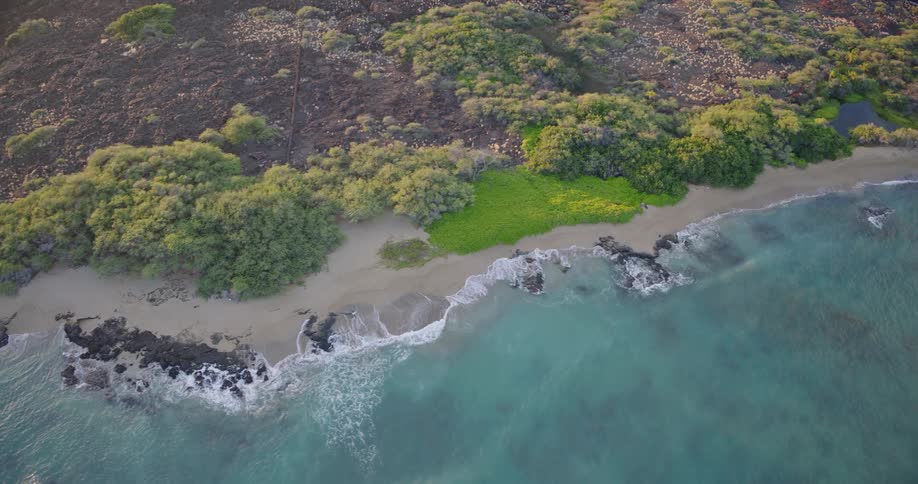 An aerial view shows turquoise waves crashing against a sandy beach and dark volcanic rocks bordering a lush green coastline with dense shrubs and black lava fields