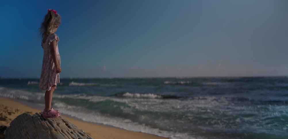 A young girl wearing a floral dress and pink shoes stands on a large piece of driftwood at the edge of a sandy beach while looking out at the rolling blue waves of the ocean under a clear sky
