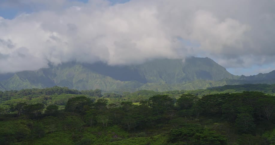 Dense tropical forest with steep cloudcovered mountains in the background
