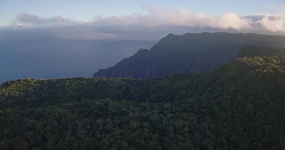 An aerial camera glides steadily over a lush treecovered mountain peak toward a dramatic tropical coastline revealing jagged cliffs and the ocean stretching toward a misty horizon under an overcast sky