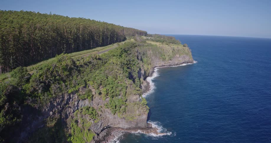 Aerial view of rugged cliffs and deep blue waves with green forest under a clear sky