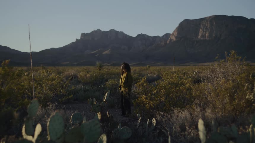 A wide view of a woman with long hair standing in a desert landscape filled with cacti and scrub brush with large rugged mountains visible in the distance under a clear sky