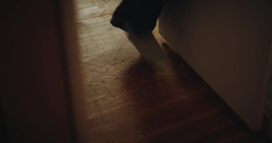Person walks through doorway in indoor setting with wooden floor and soft lighting