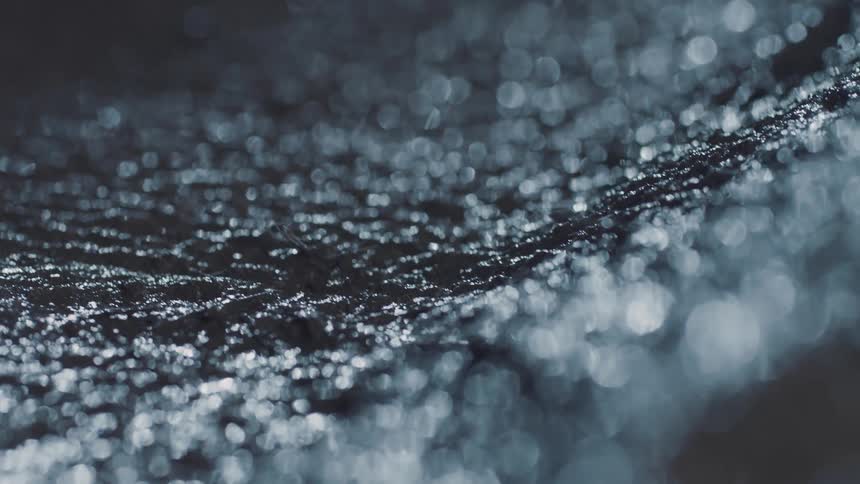 Detail of a wet cable or hose on a textured surface in lowlight conditions