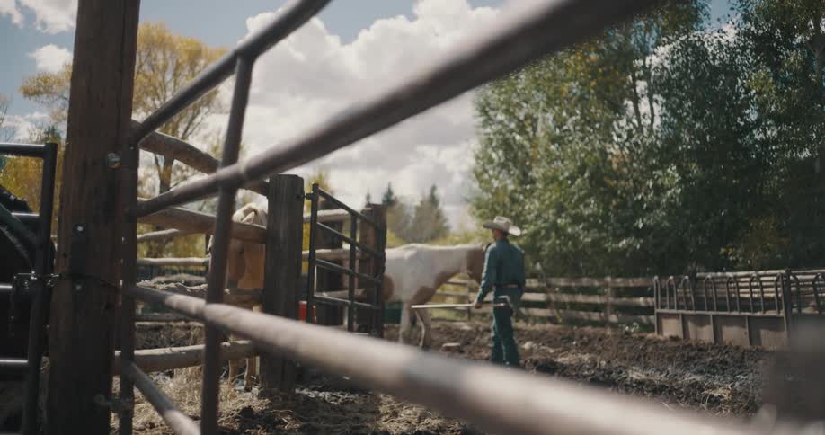 The cowboy walks past his horse on the farm