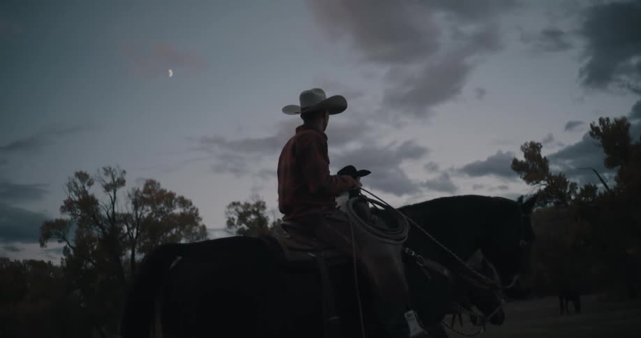 Rider looks toward the horizon while mounted on a horse under a cloudy dusk sky