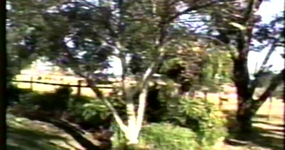 People interact inside and outside of a home during a party