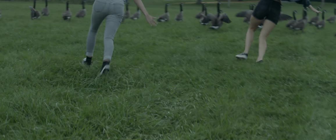 Two women running a field with many geese