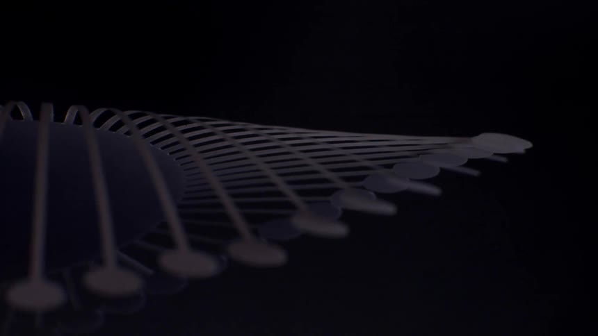A thin curved spoke that arches from the central hub of the structure toward its outer edge the sweeping wavelike curve formed by the row of circular discs that mark the ends of the spokes