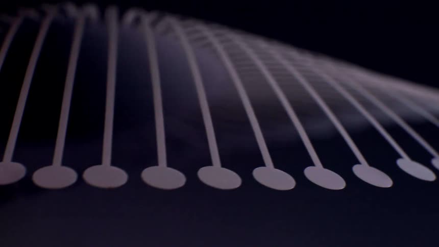 Oscillating motion captured across multiple moments