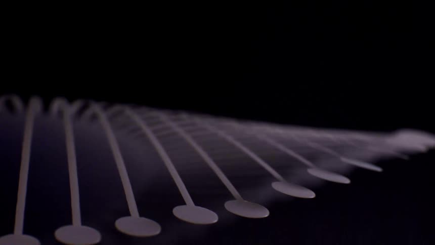 A collection of white circular discs attached to thin stems creates a repeating wave pattern against a dark background in a low light setting
