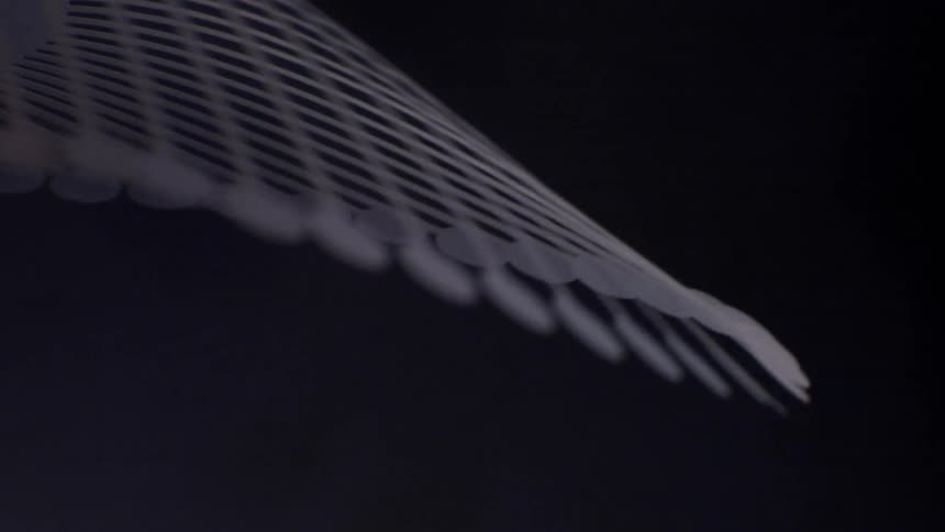Hese are the thick bright white lines that radiate from a central point they act as the ribs of the structure creating a curved domelike shape as they move they appear smooth and have a constant glow
