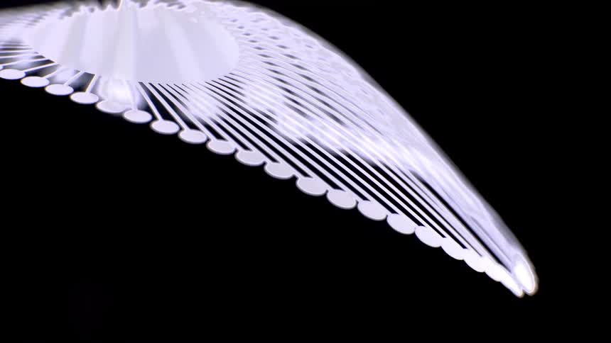 The video features two primary types of moving light elements that interact to create a complex mechanical aestheticradially arranged straight lines these are long thin white beams of light that extend from a central area like the spokes of a wheel