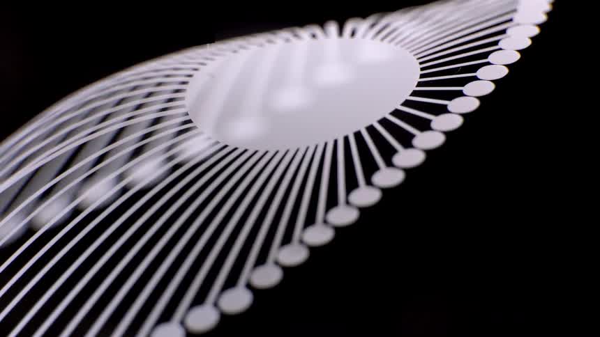 Radial curved lines end in circular points