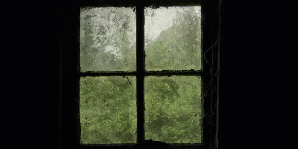 Green trees are visible through old and dirty window panes