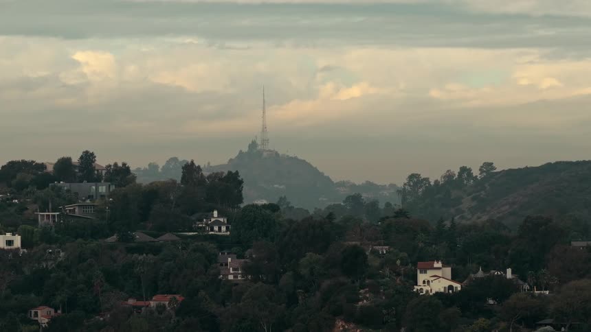 Skyline of houses surrounded by trees in a suburb at sunset