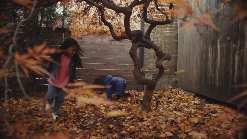 Children playing among fallen leaves beneath twisted tree in enclosed yard